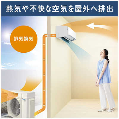 ダイキン DAIKIN エアコン うるさらX RBKシリーズ おもに29畳用 