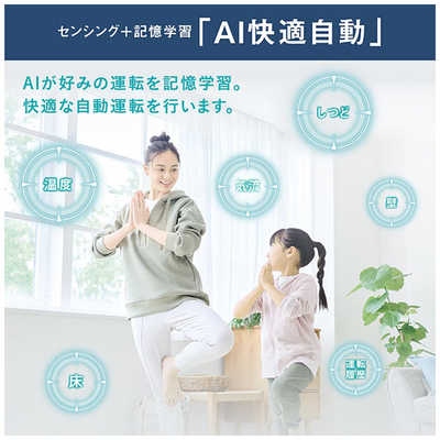ダイキン DAIKIN エアコン ABKシリーズ おもに10畳用 (ビックカメラ 