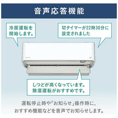 ダイキン DAIKIN エアコン ABKシリーズ おもに10畳用 (ビックカメラ 