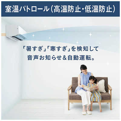 ダイキン DAIKIN エアコン ABKシリーズ おもに20畳用 (ビックカメラ