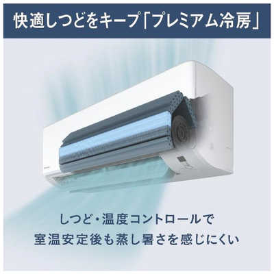 JY DAIKIN ダイキン ルームエアコン 主に10畳用 ストリーマ搭載