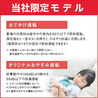 ダイキン DAIKIN エアコン EBKシリーズ おもに6畳用 (ビックカメラ 