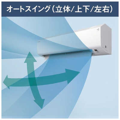ダイキン DAIKIN エアコン EBKシリーズ おもに8畳用 (ビックカメラ 
