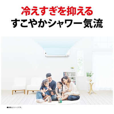シャープ SHARP エアコン プラズマクラスター7000 T-DGシリーズ おもに