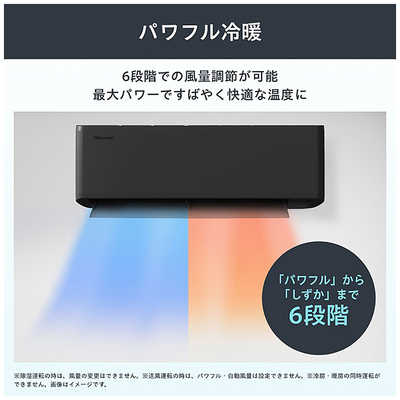 パインハイセンス 6個セット【K1401-1292】 パインハイセンス 6個セット【K1401-1292】