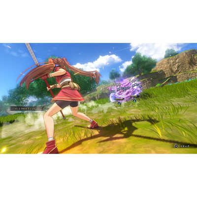 日本ファルコム Switchゲームソフト (描き下ろしB2タペストリー付き