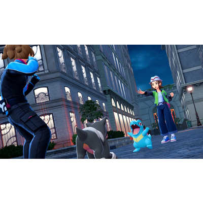 任天堂 Nintendo Switchゲームソフト【ビックカメラグループ特典付き