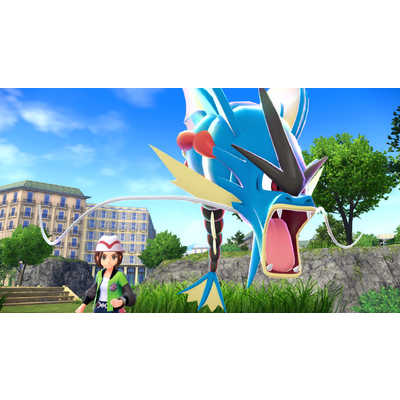 任天堂 Nintendo Switchゲームソフト【ビックカメラグループ特典