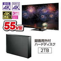 TVS REGZA 液晶テレビ REGZA レグザ 55V型［ 4K対応 / Bluetooth
