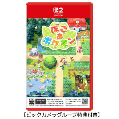 Switch2ゲームソフト【早期購入特典付き】 【ビックカメラグループ特典