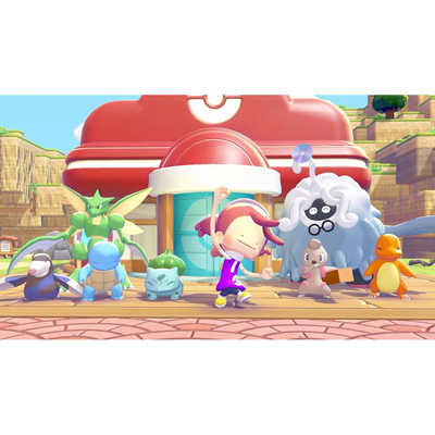 Switch2ゲームソフト【早期購入特典付き】 【ビックカメラグループ特典