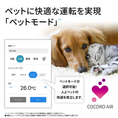 シャープ SHARP エアコン 2026年 プラズマクラスター Rシリーズ おもに 