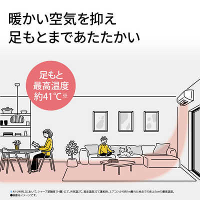 シャープ SHARP エアコン 2026年 プラズマクラスター Rシリーズ おもに 