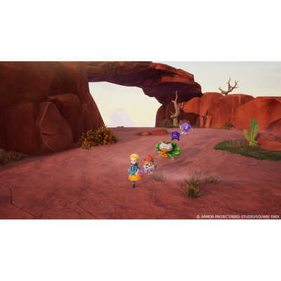 スクウェア・エニックス Switchゲームソフト 【ビックカメラグループ