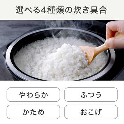 T-fal 炊飯器 5.5合 ザ・ライス 遠赤外線3DIH シルバー RK890EJP