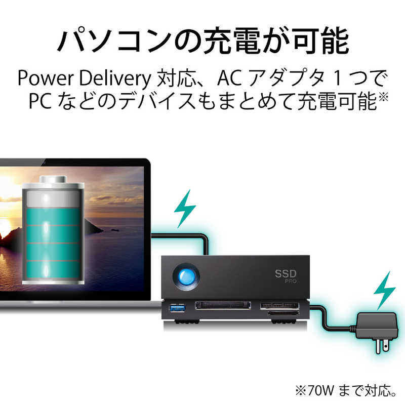 エレコム　ELECOM エレコム　ELECOM LaCie ラシー 外付けHDD Thunderbolt接続 1big Dock SSD Pro [2TB /据え置き型] STHW2000800 STHW2000800