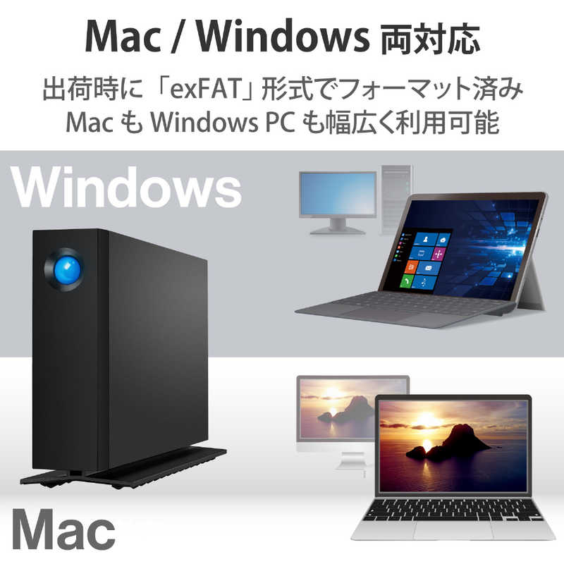 エレコム　ELECOM エレコム　ELECOM LaCie ラシー 外付けHDD USB-C接続 d2 Professional (Mac/Win) [16TB /据え置き型] STHA16000800 STHA16000800