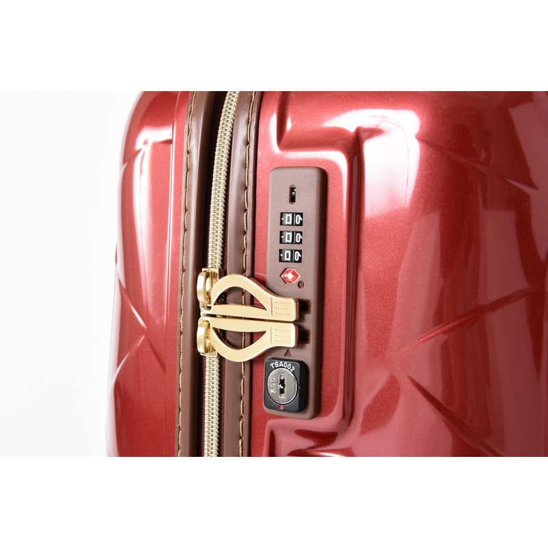 STRATIC STRATIC スーツケース 100L レザー&モア ダークグリーン 3-9894-75-DGR 3-9894-75-DGR
