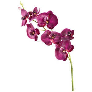 LEONARDO 造花”青紫の胡蝶蘭” L85cm Fiore 083134