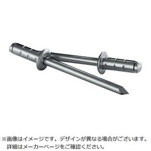 GESIPA ゲシパ詰め替え用リベット PolyGrip[[R上]] アルミ/スチール製50本入りΦ48mm×10mm  1433850