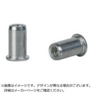 GESIPA ゲシパハンドナッターセット詰め替え用ブラインドナットM5100個入り 1433701 GESIPA ゲシパハンドナッターセット詰め替え用ブラインドナットM5100個入り 1433701