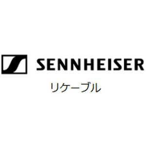 SENNHEISER リケーブル　（HD650用）　HZD650 HZD650