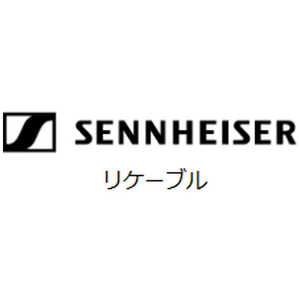 SENNHEISER ꥱ֥ HD650ѡ HZD650