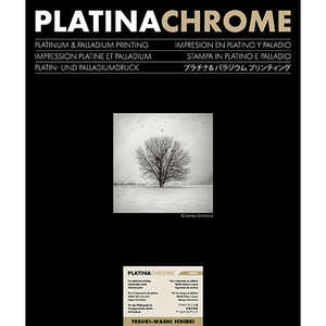 CtH[hWp PLATINACHROME TE-WASHI ICHIBEI A4 荗a sq[ChZ /10 /] 433421