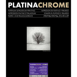 イルフォードジャパン PLATINACHROME DIGITAL FILM 140 11x14インチ 25枚入 433403