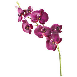 LEONARDO 造花 青紫の胡蝶蘭 6P L85cm Fiore 083134