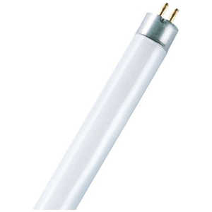 LEDVANCE OSRAM ָ T5 G5 LUMILUX Cool White(4000 K) LUMILUXT5L8W840