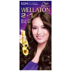 WELLATON(ウエラトーン)2+1 クリームタイプ 5GM 自然なマットブラウン A剤60g+B剤60g+エッセンス7.3ml WELLATON(ウエラトーン)2+1 クリームタイプ 5GM 自然なマットブラウン A剤60g+B剤60g+エッセンス7.3ml