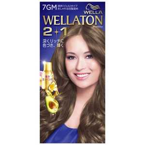 WELLATON(ウエラトーン)2+1 液状(ジェル)タイプ 7GM 明るいマットブラウン A剤43ml+B剤86ml+エッセンス5.5ml WELLATON(ウエラトーン)2+1 液状(ジェル)タイプ 7GM 明るいマットブラウン A剤43ml+B剤86ml+エッセンス5.5ml