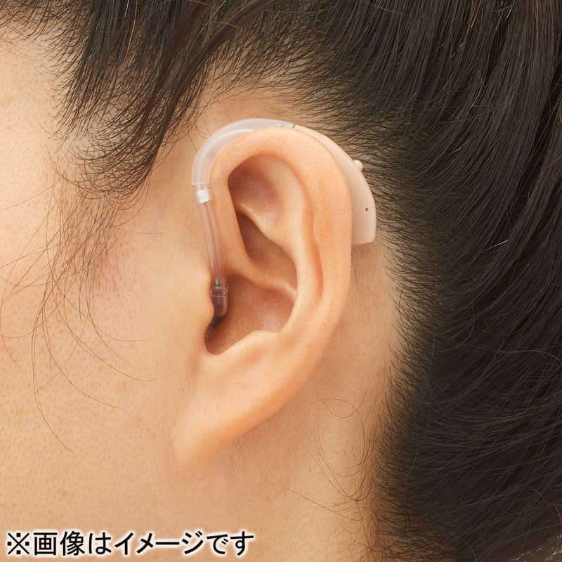 オンキヨー　ONKYO オンキヨー　ONKYO 耳掛け補聴器 OHS-EH21（左右兼用） OHS_EH21 OHS_EH21