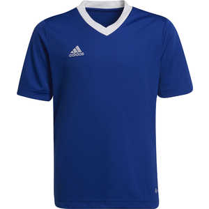アディダス adidas ボーイズ Entrada 22 ジャージー チームロイヤルブルー J150 MBE20_25FW アディダス adidas ボーイズ Entrada 22 ジャージー チームロイヤルブルー J150 MBE20_25FW