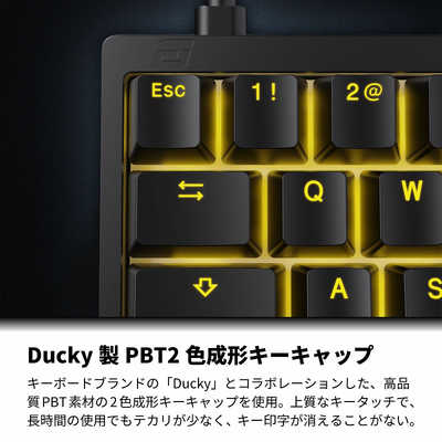 Endgame Gear KB65HE ほぼ未使用品 Amazon.com: ENDGAME GEAR KB65HE Gaming Keyboard, ANSI US