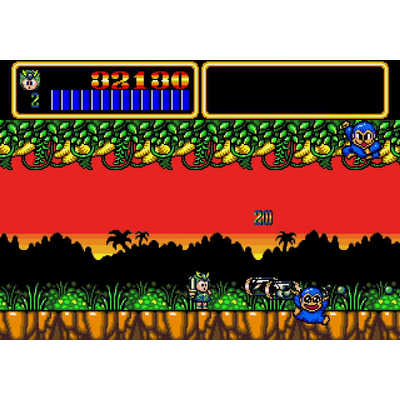 Nintendo Switch ワンダーボーイアルティメットコレクション ワンダーボーイ アルティメット コレクション - Bliss Brain