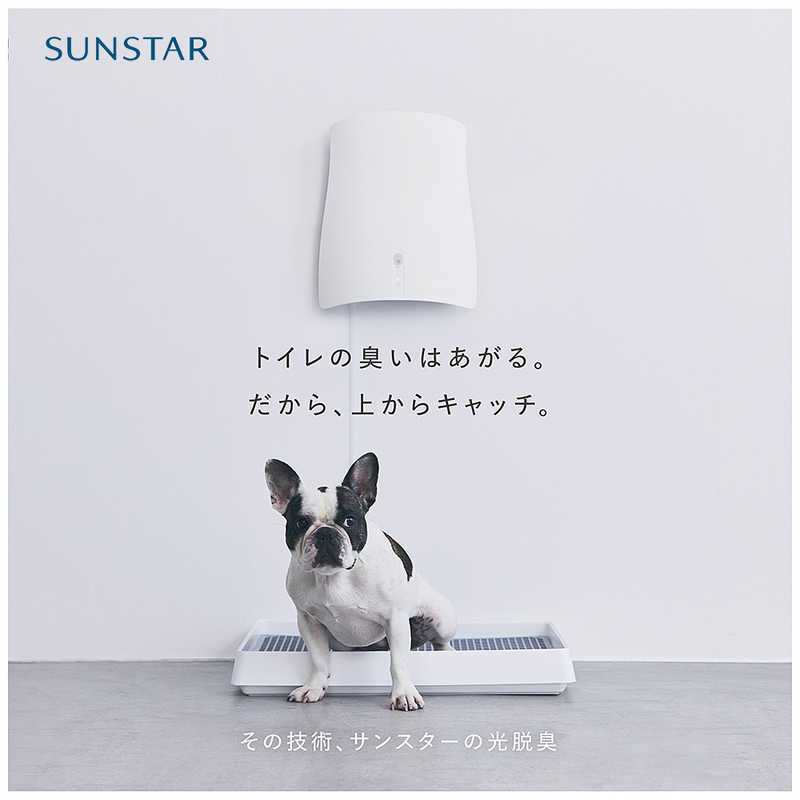 サンスター技研 サンスター技研 ペット想いの除菌脱臭機 QAIS-air オフホワイト 04A1J-OW 04A1J-OW