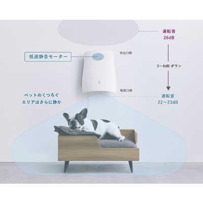 サンスター技研 ペット想いの除菌脱臭機 QAIS-air オフホワイト 04A1J 