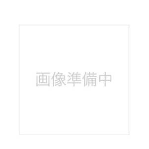 堀内鏡工業 ハイパーVプロモデルミラーMホワイト HV-004W 堀内鏡工業 ハイパーVプロモデルミラーMホワイト HV-004W