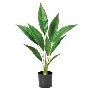 アスカ商会 フェイクグリーン スパティフィラム グリーン A-51052-051A