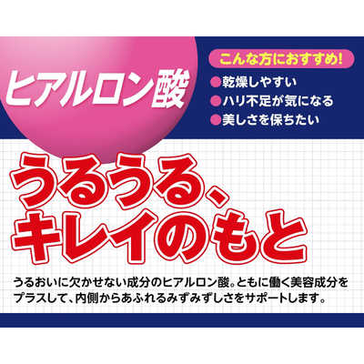 DHC DHC（ディーエイチシー） ヒアルロン酸 20日分（40粒） 栄養補助 