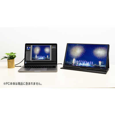 グリーンハウス モバイルモニター ブラック [15.6型 /フルHD