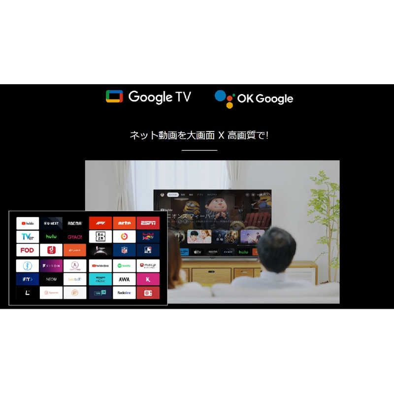 グリーンハウス グリーンハウス 32V型 Google液晶テレビ HDMIケーブル付  GH-GTV32AC-BK GH-GTV32AC-BK