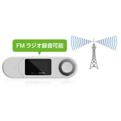 グリーンハウス MP3プレーヤー KANA DB(16GB) ブラック GH