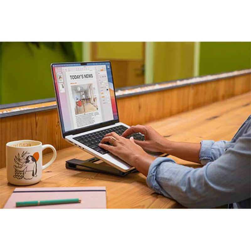 TWELVESOUTH TWELVESOUTH ノートパソコンスタンド[MacBook対応]Curve Flex - Black マットブラック TWS-ST-000076 TWS-ST-000076