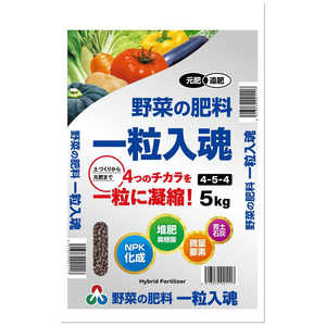 朝日アグリア 野菜作り 一粒入魂454 5kg ヤサイヅクリイチツブジッコン454 朝日アグリア 野菜作り 一粒入魂454 5kg ヤサイヅクリイチツブジッコン454
