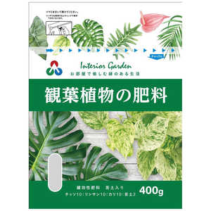 朝日アグリア 観葉植物の肥料 400g カンヨウショクブツノヒリョウ 朝日アグリア 観葉植物の肥料 400g カンヨウショクブツノヒリョウ