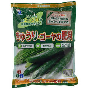 īꥢ 夦ꡦ 550g 奦ꡦΥҥ祦