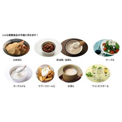 BRUNO ブルーノ 発酵フードメーカー レシピブック付き LOE037-BE